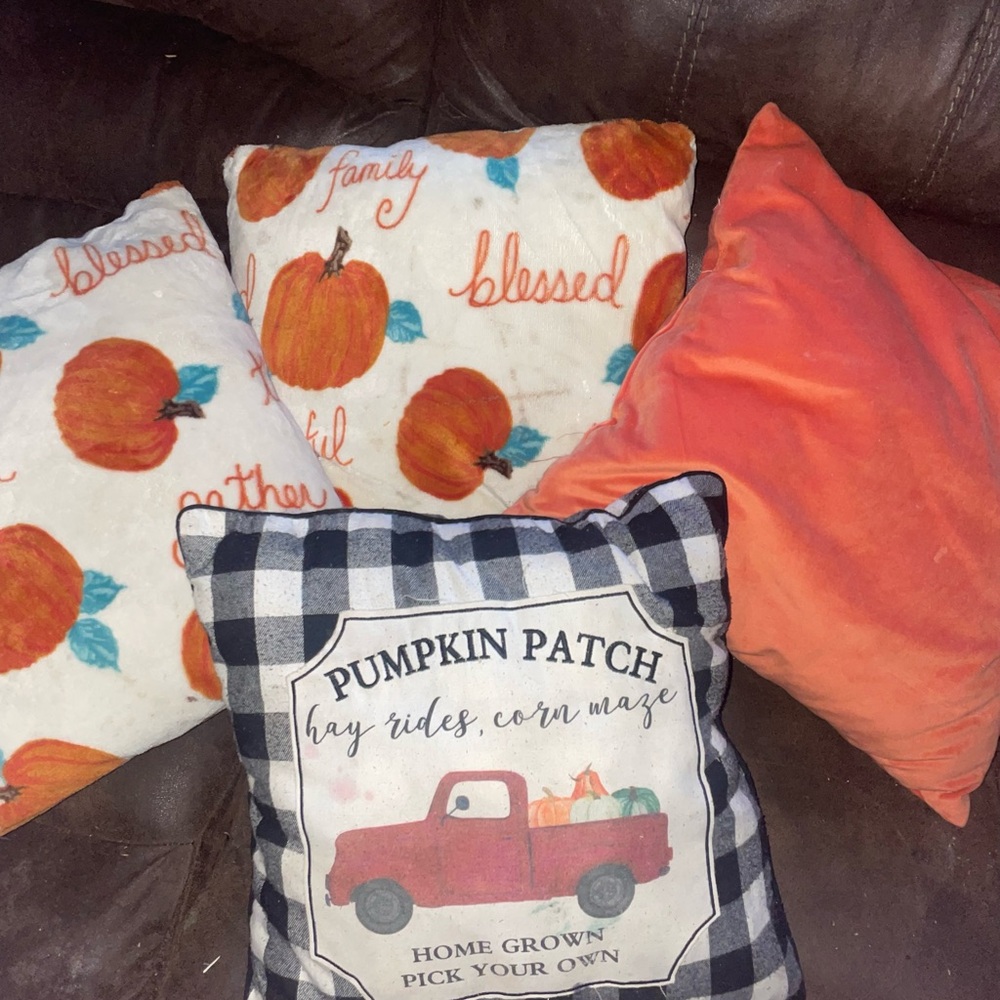 Set of 4 fall pillows